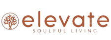 Conscient Elevate logo